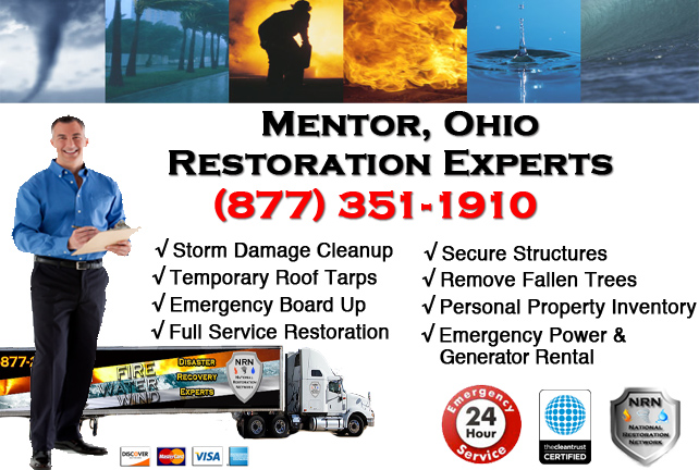 Mentor Storm Damage Cleanup