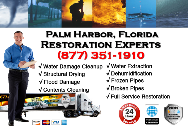 Palm Harbor Water Damage Restoration