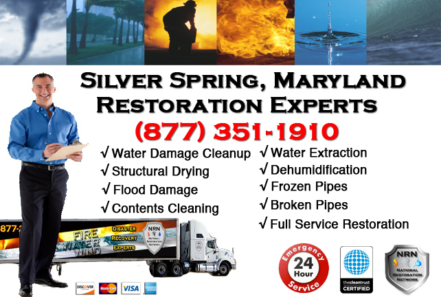 Silver Spring Water Damage Cleanup