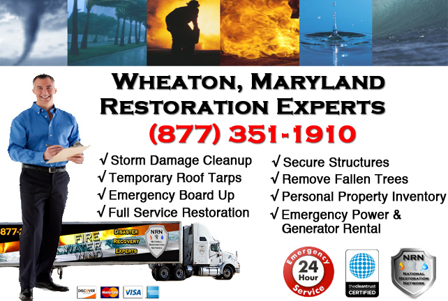Wheaton Storm Damage Cleanup