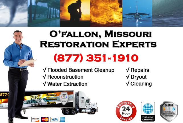 OFallon Flooded Basement Cleanup Company