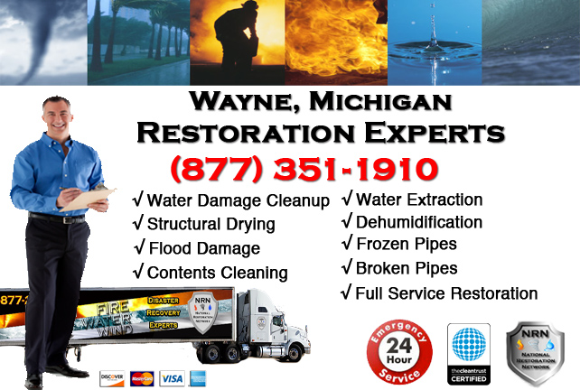 Wayne Water Damage Repairs
