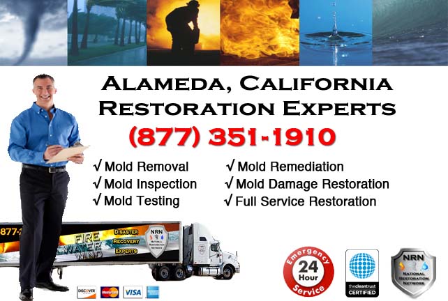 Alameda storm damage repairs