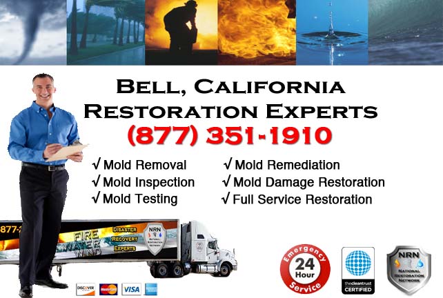Bell storm damage repairs